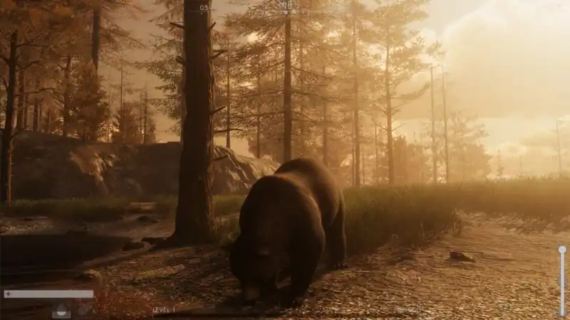 The WILDS — изображение 1