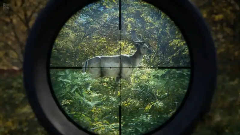 theHunter Call of the Wild по сети — изображение 2