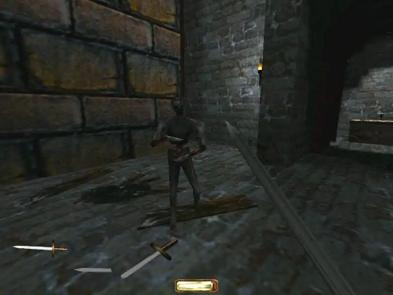 Thief Gold — изображение 2