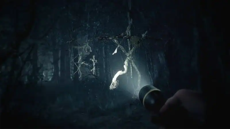 Blair Witch — изображение 1