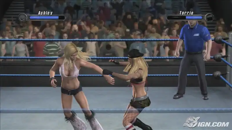 WWE SmackDown Vs. Raw 2008 — изображение 2