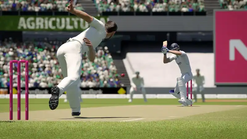 Cricket 24 по сети — изображение 2