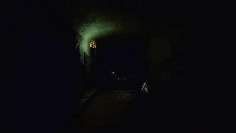 Dark Forest: Lost Story VR — изображение 2