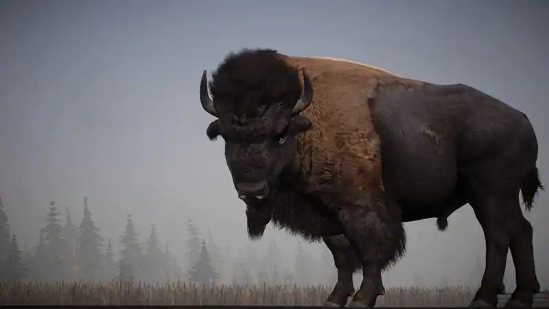 Alaskan Road Truckers — изображение 1