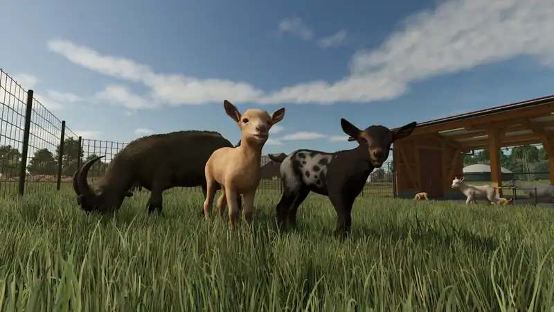 Farming Simulator 25 — изображение 1
