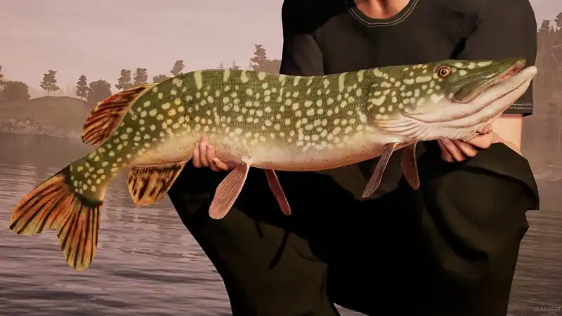 Fishing Sim World по сети — изображение 2