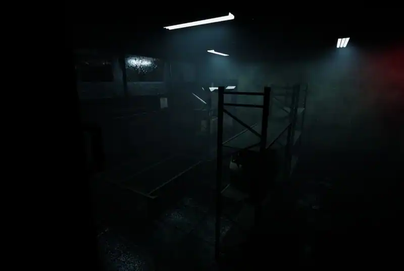 Forest Asylum — изображение 2