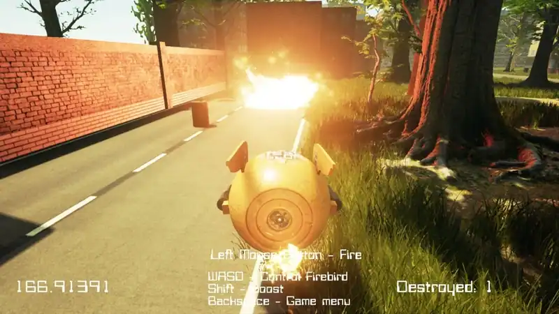 FreeFly Burning — изображение 2