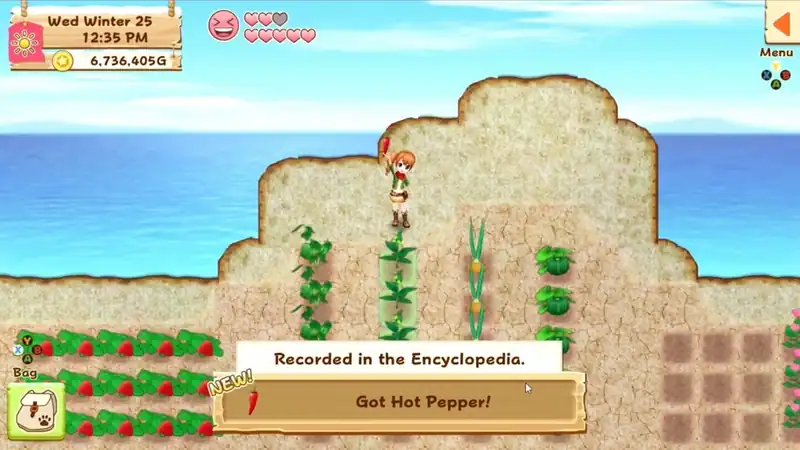 Harvest Moon: Light of Hope Special Edition — изображение 2