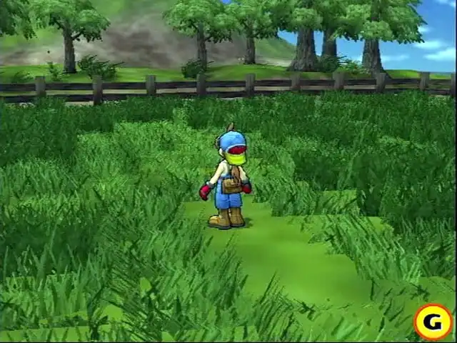 Harvest Moon: Save the Homeland — изображение 2