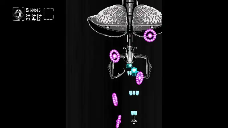 Hexapoda — изображение 1