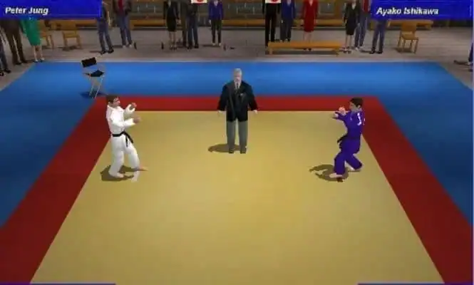 3D Judo Fighting — изображение 3