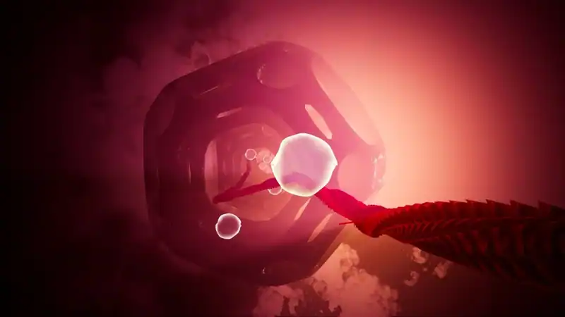 Matter — изображение 1
