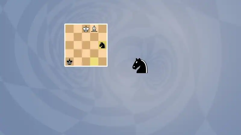 5D Chess With Multiverse Time Travel — изображение 1