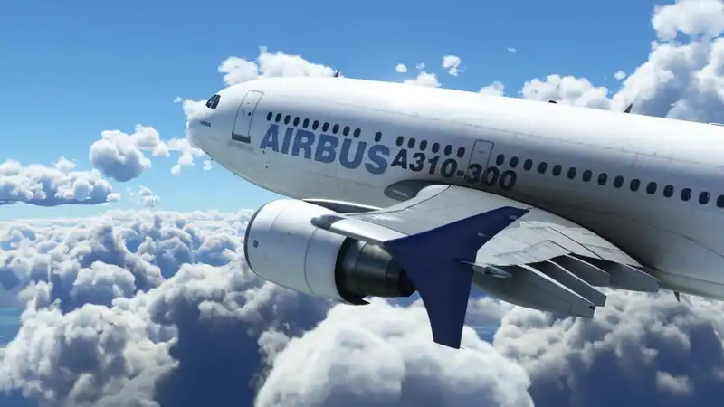 Microsoft Flight Simulator по сети — изображение 3