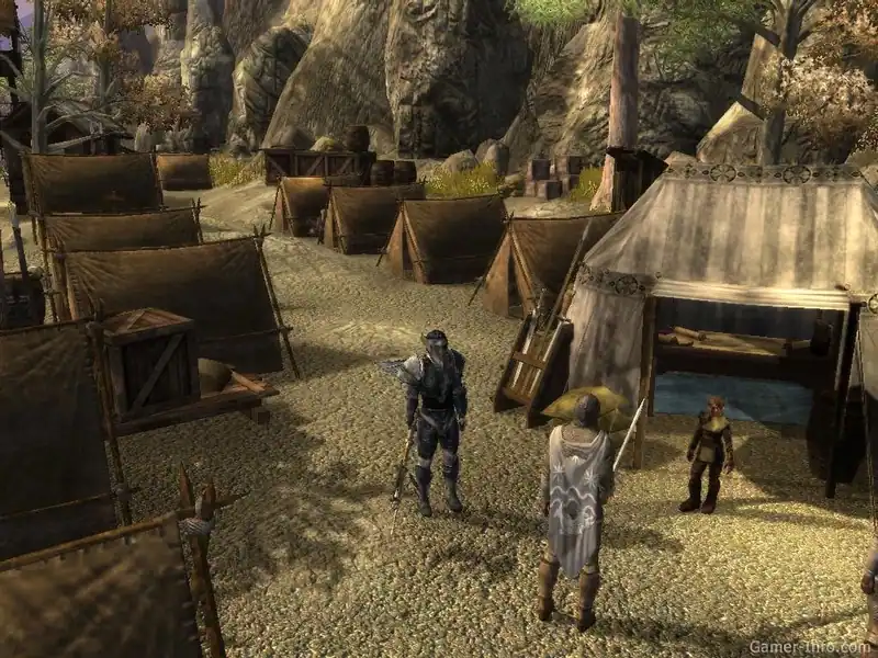 Neverwinter Nights 2 по сети — изображение 3