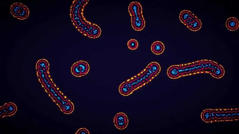Parametric Creature: Lab — изображение 2