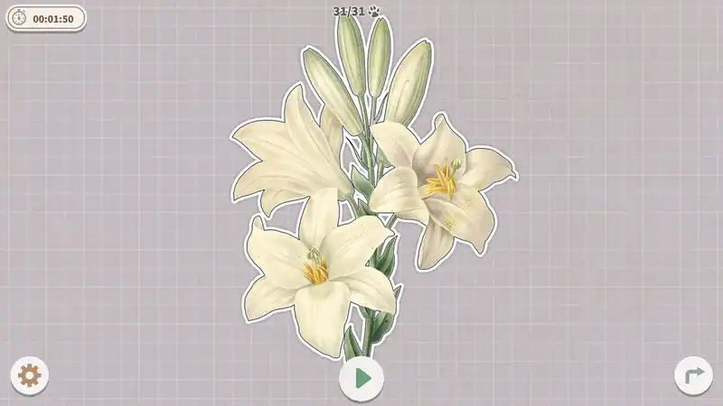 Plants Huddled Together — изображение 3