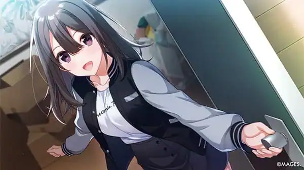 SINce Memories: Off The Starry Sky — изображение 3