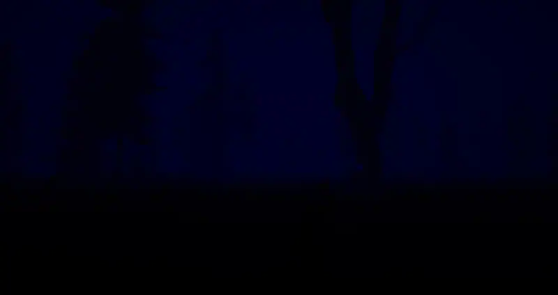 Slender: The Eight Pages REMAKE — изображение 3
