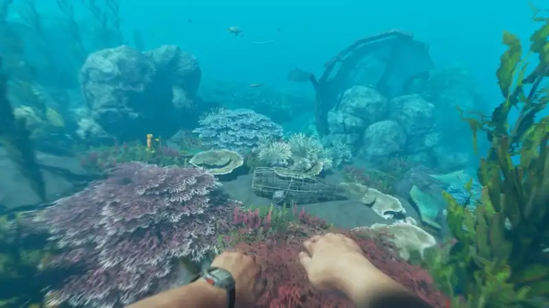 Stranded Deep — изображение 1