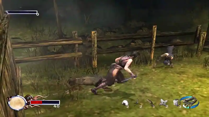 Tenchu: Fatal Shadows — изображение 3