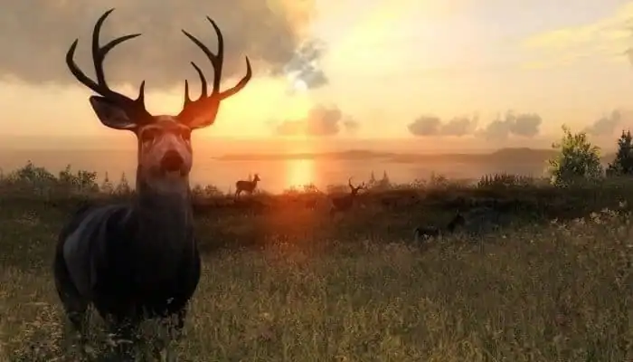The Hunter — изображение 3