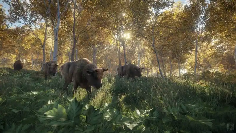 theHunter Call of the Wild по сети — изображение 3