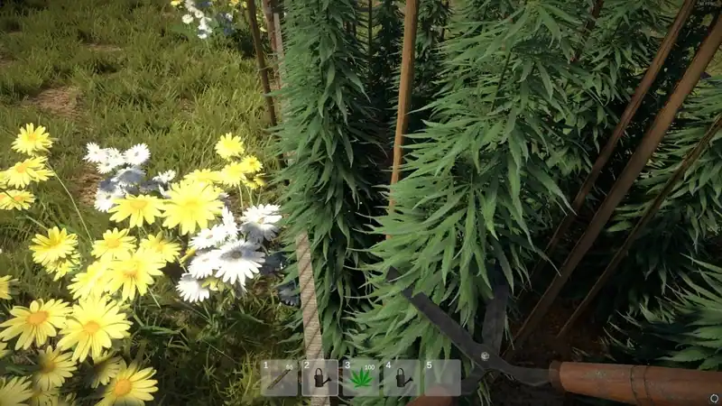 Weed Farmer Simulator — изображение 1