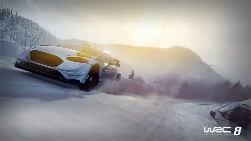 WRC 8 FIA World Rally Championship по сети — изображение 3