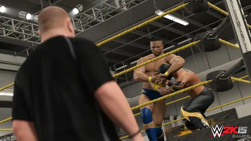 WWE 2K15 по сети — изображение 3