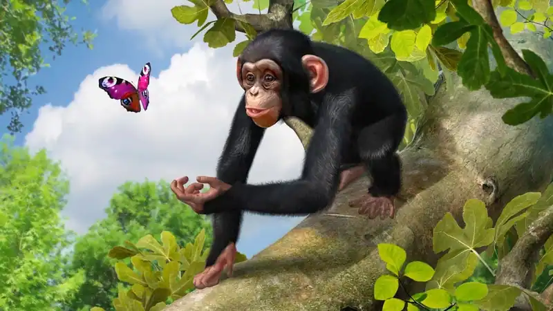 Zoo Tycoon: Ultimate Animal Collection — изображение 2