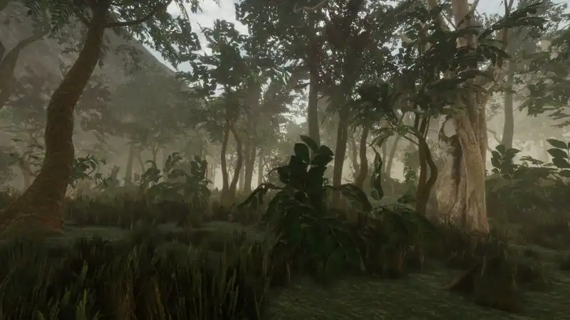 Forest — изображение 3