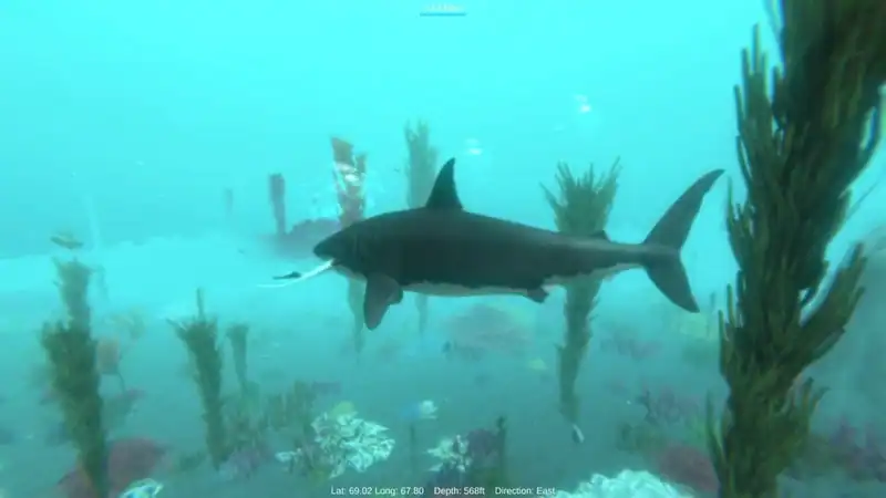 Alpha Shark — изображение 2