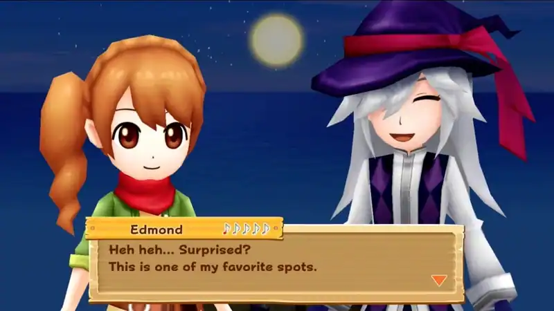 Harvest Moon: Light of Hope Special Edition — изображение 3