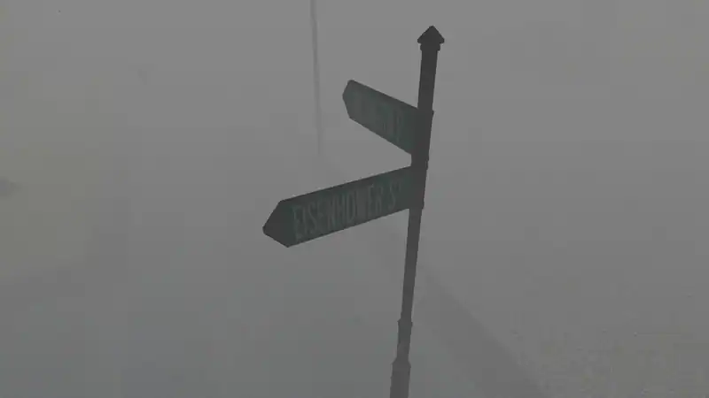 Project Night — изображение 2