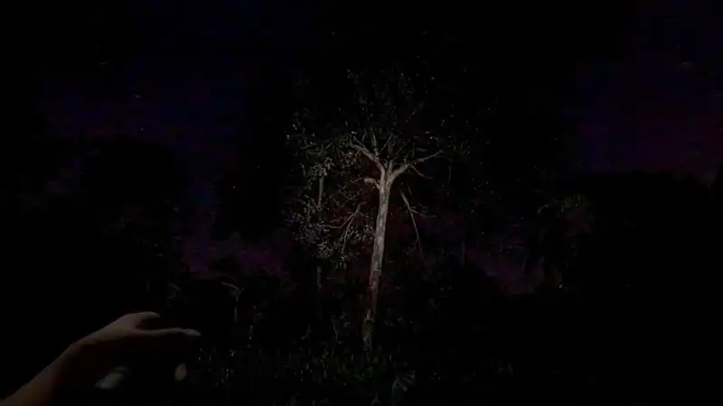 The Remains of Dahlia — изображение 2