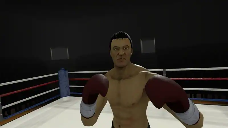 The Thrill of the Fight - VR Boxing — изображение 2