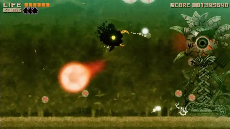 BLACK BIRD — изображение 3