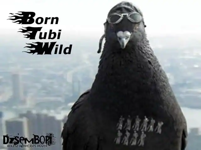 Born Tubi Wild — изображение 3
