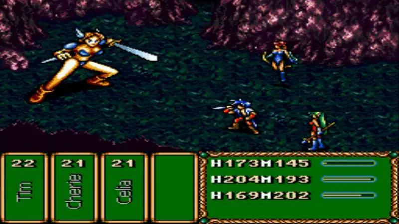 Brave Battle Saga - The Legend of The Magic Warrior — изображение 2