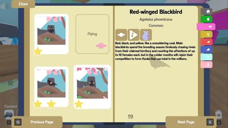 Flock Around — изображение 2