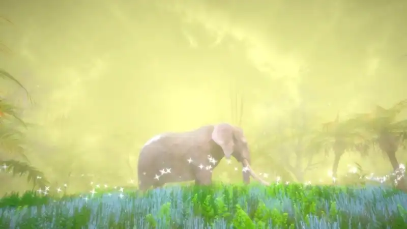 Hidden Treasures in the Forest of Dreams — изображение 1