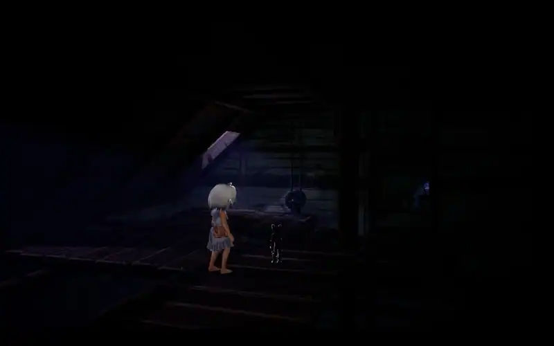 LIGHT: Black Cat and Amnesia Girl — изображение 1