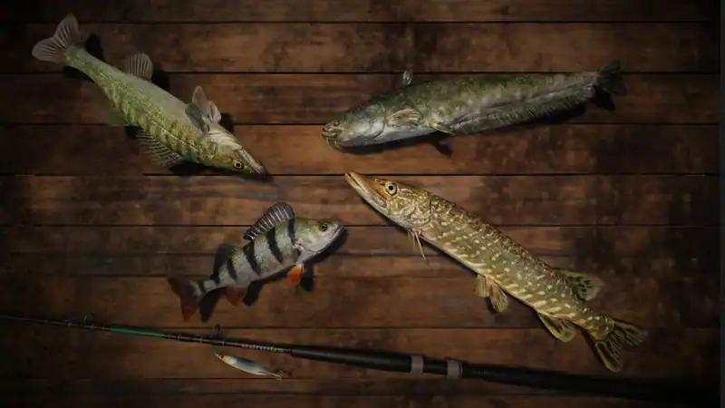 Professional Fishing — изображение 1