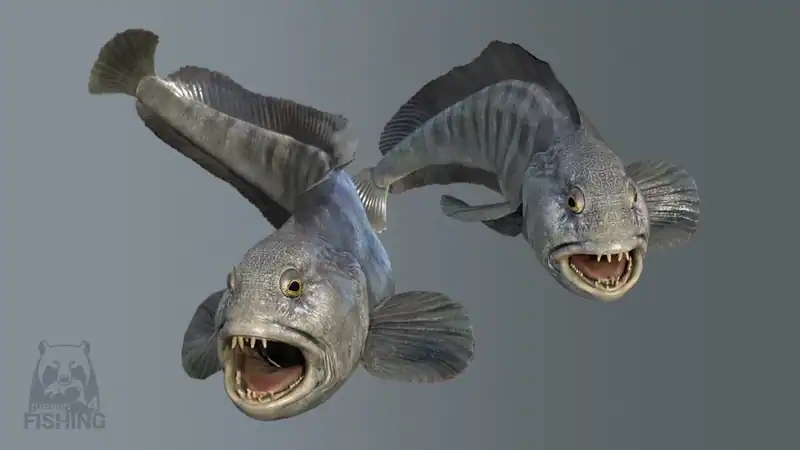Russian Fishing 4 — изображение 1