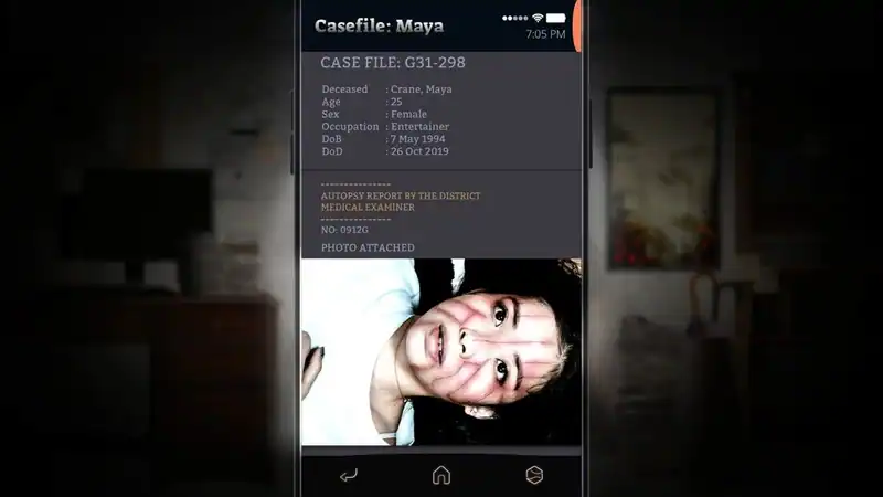 SIMULACRA 2 — изображение 3