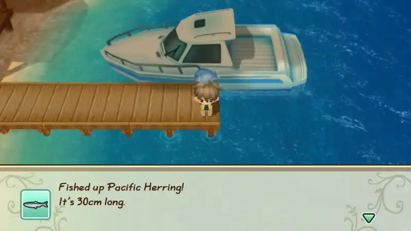 STORY OF SEASONS: Friends of Mineral Town — изображение 2