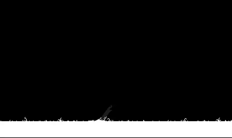 White — изображение 3