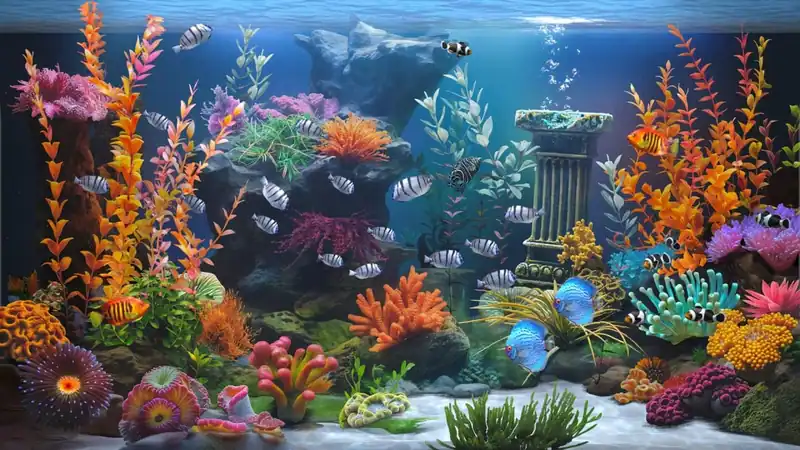 Zen Aquarium — изображение 3